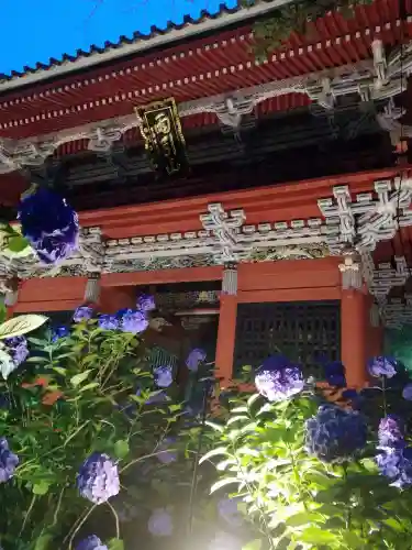 楽法寺（雨引観音）の山門