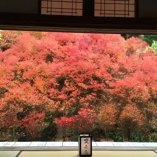 安國寺の庭園