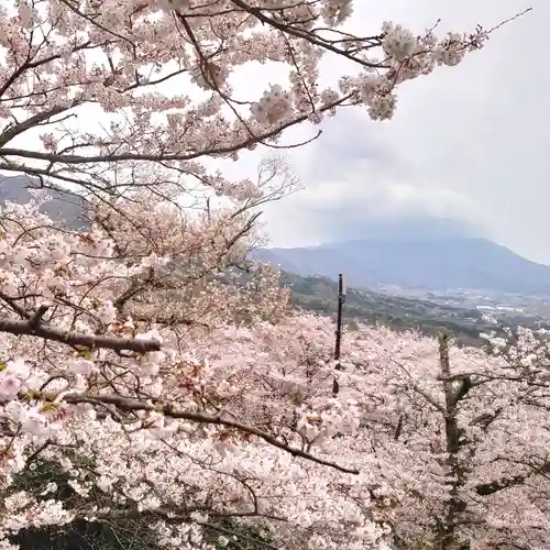 楽法寺（雨引観音）の自然
