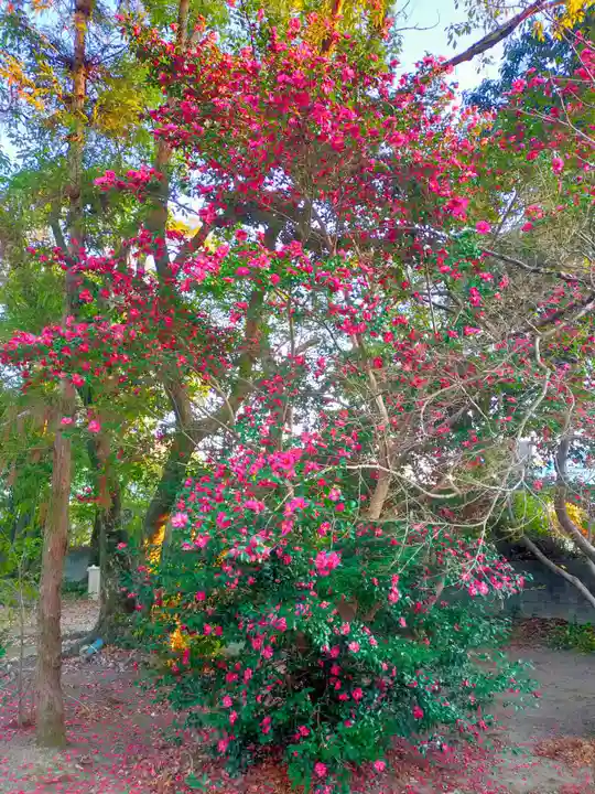 湯浅大宮 顯國神社(和歌山県)