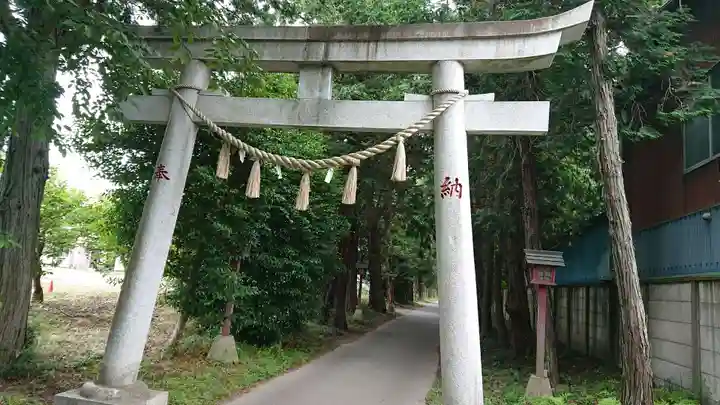 安房神社の鳥居