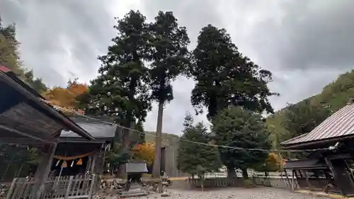 春日神社の建物その他