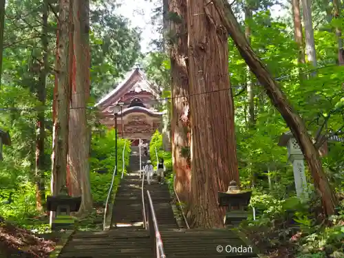 戸隠神社宝光社(長野県)