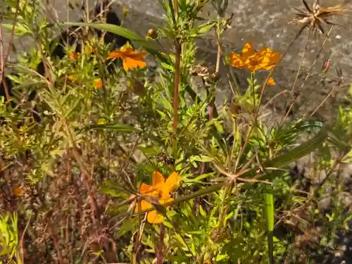 新作八幡宮(神奈川県)