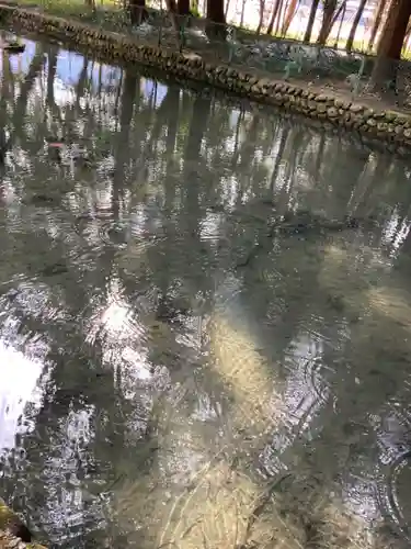 伊和神社(兵庫県)