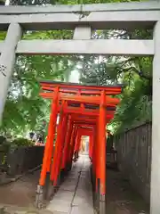 根津神社の鳥居