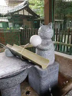 荻窪白山神社の手水舎