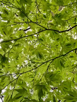 桂春院(京都府)