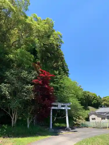 桑名神社の鳥居