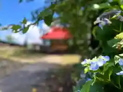 天照皇大神宮の自然