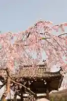 無量寺(愛媛県)