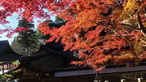 出雲大神宮の景色