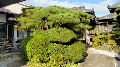 明白院(東京都)