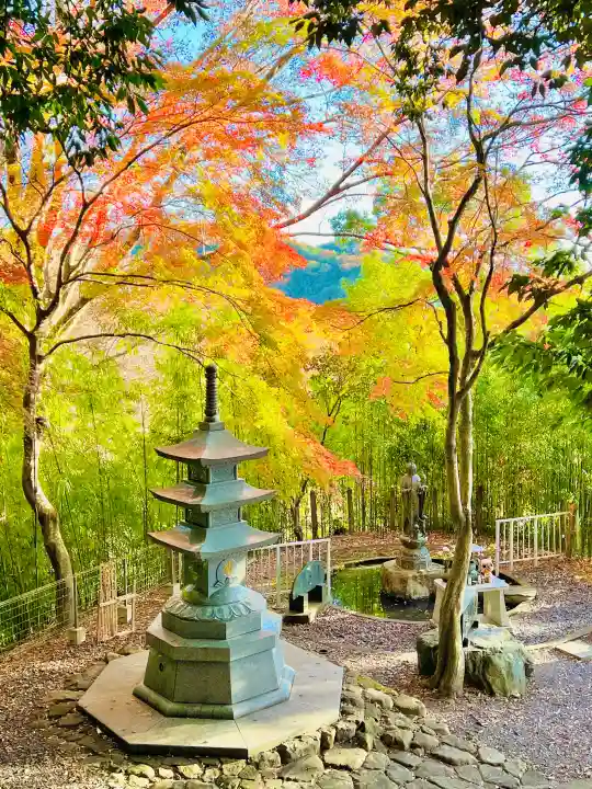 西明寺の{uncategorized: "未分類", other: "その他", undefined: "問題あり", building: "その他建物", grave: "お墓", sacred_gate: "鳥居", guardian: "狛犬", statue: "像", buddha: "仏像", history: "歴史", nature: "自然", garden: "庭園", animal: "動物", pagoda: "塔", temizu: "手水舎", mountain_gate: "山門・神門", sanctuary: "本殿・本堂", subordinate: "末社・摂社", art: "芸術", scenery: "景色", jizo: "地蔵", ema: "絵馬", goshuin: "御朱印", omikuji: "おみくじ", items: "授与品その他", amulet: "お守り", goshuincho: "御朱印帳", eats: "食事", festival: "お祭り", votive_dance: "神楽", shichigosan: "七五三参", wedding: "結婚式", experience: "体験その他", initially: "初詣", around: "周辺", anti_infection: "感染症対策"}