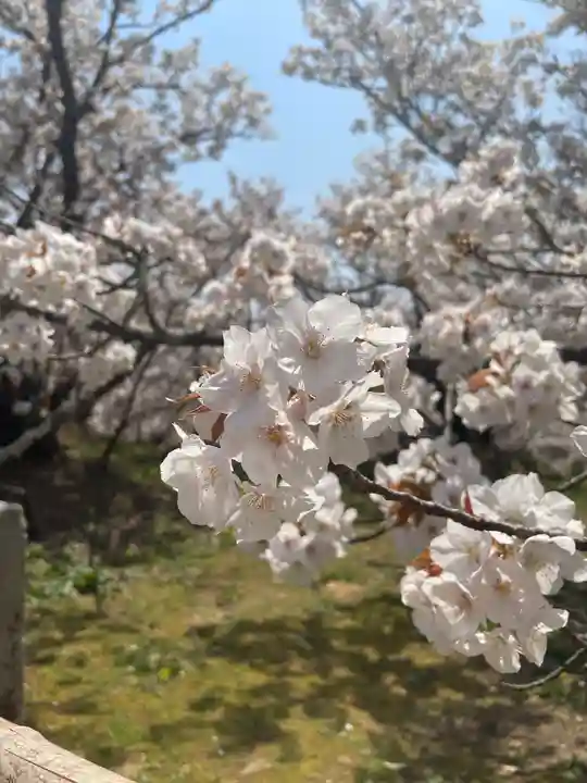 仁和寺(京都府)