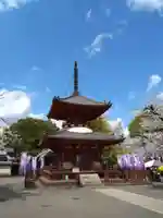 喜多院(埼玉県)