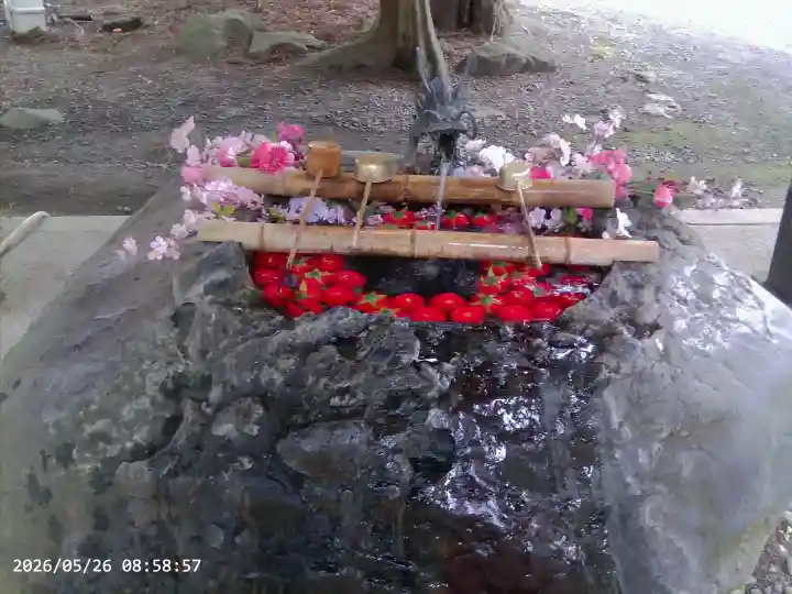 駒形神社の{uncategorized: "未分類", other: "その他", undefined: "問題あり", building: "その他建物", grave: "お墓", sacred_gate: "鳥居", guardian: "狛犬", statue: "像", buddha: "仏像", history: "歴史", nature: "自然", garden: "庭園", animal: "動物", pagoda: "塔", temizu: "手水舎", mountain_gate: "山門・神門", sanctuary: "本殿・本堂", subordinate: "末社・摂社", art: "芸術", scenery: "景色", jizo: "地蔵", ema: "絵馬", goshuin: "御朱印", omikuji: "おみくじ", items: "授与品その他", amulet: "お守り", goshuincho: "御朱印帳", eats: "食事", festival: "お祭り", votive_dance: "神楽", shichigosan: "七五三参", wedding: "結婚式", experience: "体験その他", initially: "初詣", around: "周辺", anti_infection: "感染症対策"}