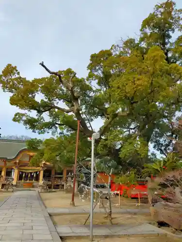 龍田神社(奈良県)