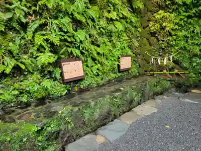貴船神社の手水舎