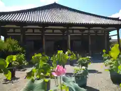 元興寺(奈良県)