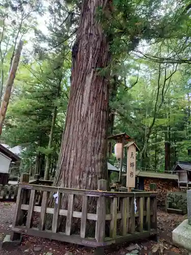 小野神社(長野県)