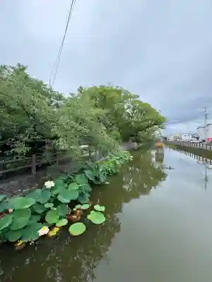 福島八幡宮の自然