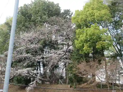 仙波氷川神社(埼玉県)