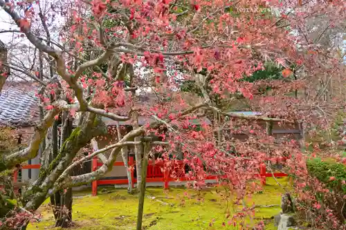 大原野神社(京都府)