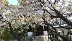 圓通寺の自然