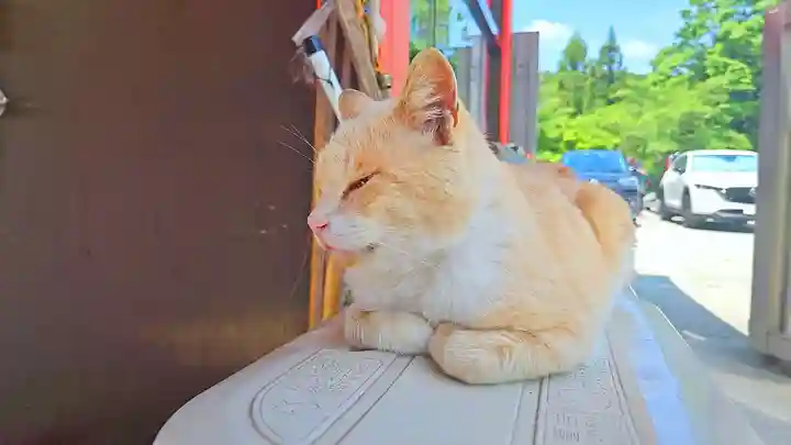 南法華寺(壷阪寺)(奈良県)