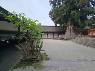 春日大社(奈良県)