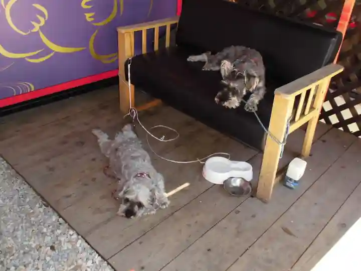 菊名神社の動物