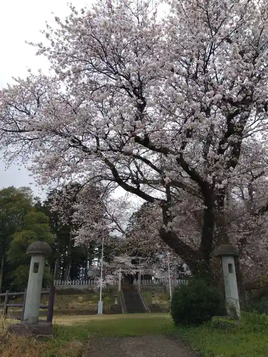 気比神社(福井県)