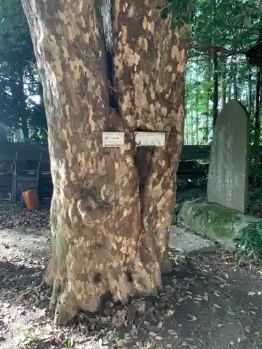 磯部稲村神社(茨城県)