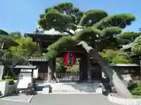 長谷寺の山門・神門