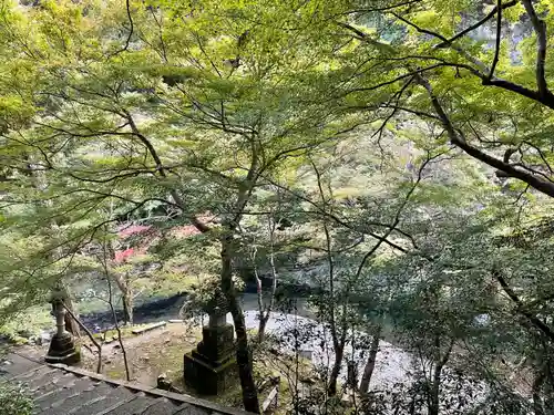 西明寺(京都府)