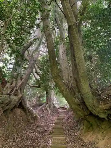 浅間神社の自然