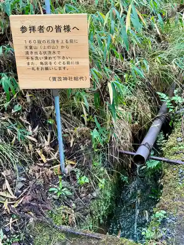 賀茂神社(京都府)