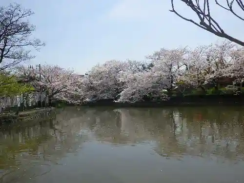 鶴岡八幡宮の庭園