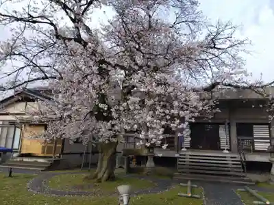 妙経寺(福井県)