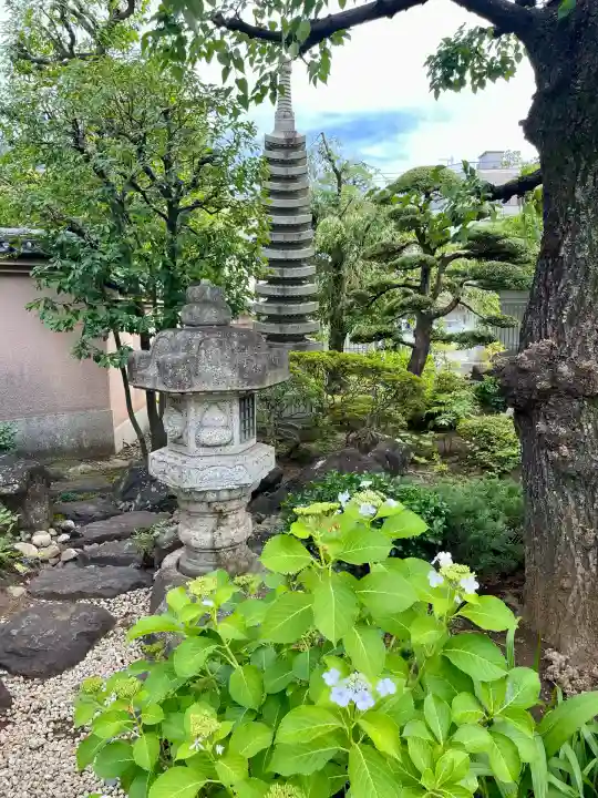 円光院(東京都)