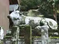 飯牟礼神社(大分県)
