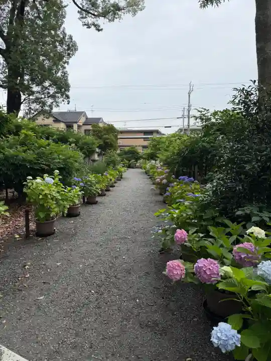 奈加美神社(大阪府)
