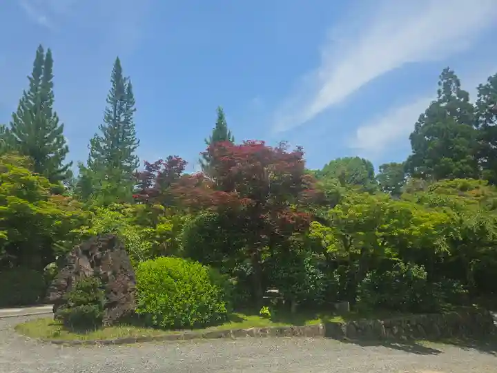 正法寺(京都府)
