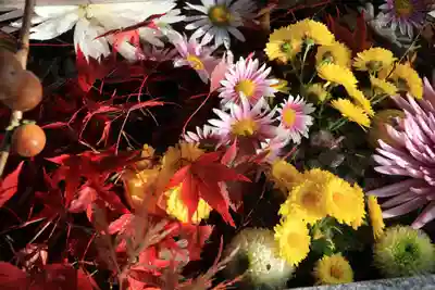 豊景神社の手水舎