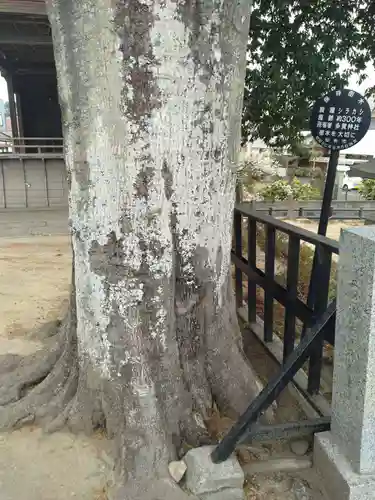 多賀神社(宮城県)