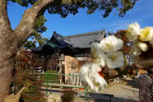 菅原天満宮（菅原神社）の自然