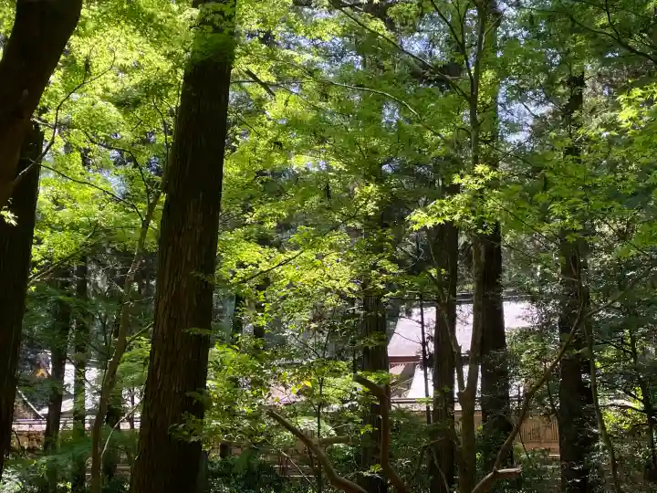 小國神社の{uncategorized: "未分類", other: "その他", undefined: "問題あり", building: "その他建物", grave: "お墓", sacred_gate: "鳥居", guardian: "狛犬", statue: "像", buddha: "仏像", history: "歴史", nature: "自然", garden: "庭園", animal: "動物", pagoda: "塔", temizu: "手水舎", mountain_gate: "山門・神門", sanctuary: "本殿・本堂", subordinate: "末社・摂社", art: "芸術", scenery: "景色", jizo: "地蔵", ema: "絵馬", goshuin: "御朱印", omikuji: "おみくじ", items: "授与品その他", amulet: "お守り", goshuincho: "御朱印帳", eats: "食事", festival: "お祭り", votive_dance: "神楽", shichigosan: "七五三参", wedding: "結婚式", experience: "体験その他", initially: "初詣", around: "周辺", anti_infection: "感染症対策"}