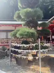 金櫻神社(山梨県)