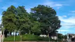 仙波氷川神社の建物その他